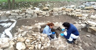 Parco Archeologico: “30SCAVI” diventa una mostra