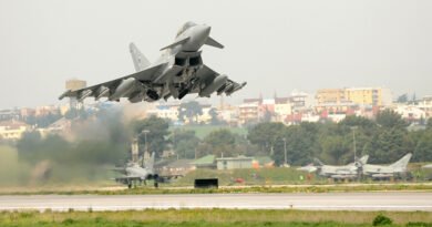 Esercitazione aerea congiunta tra caccia 36° Stormo e velivoli greci